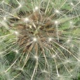 CLICK HERE TO SEE WINNING PHOTOGRAPHS & PRESENTATION 21st JUNE 2012